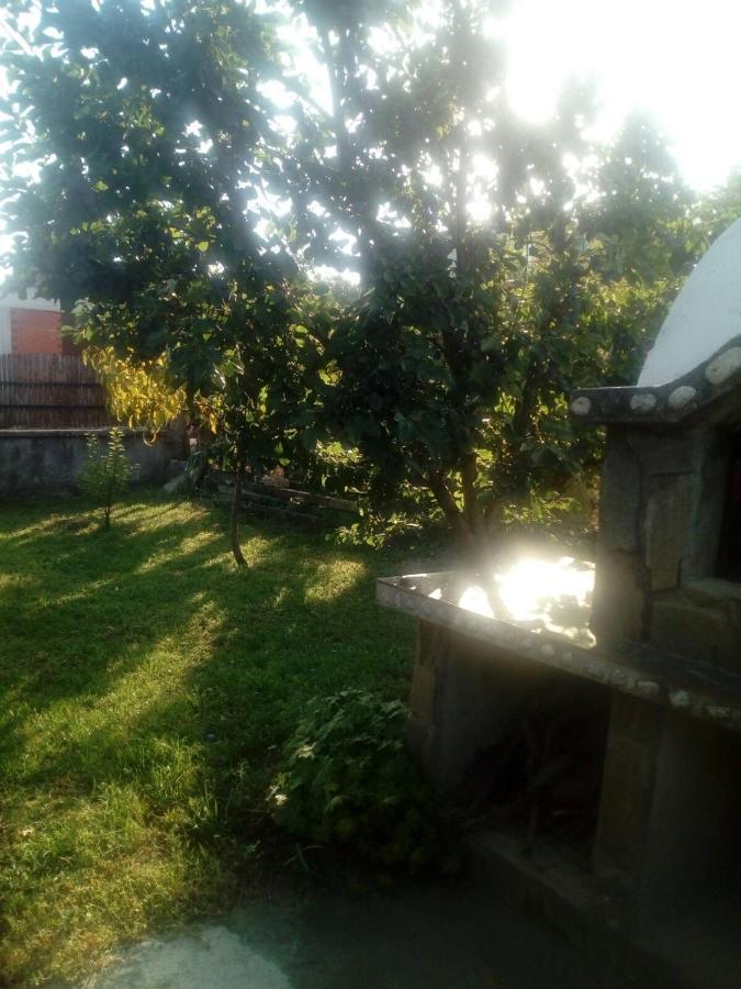 Къща За Гости Ягода Sapareva Banya Buitenkant foto