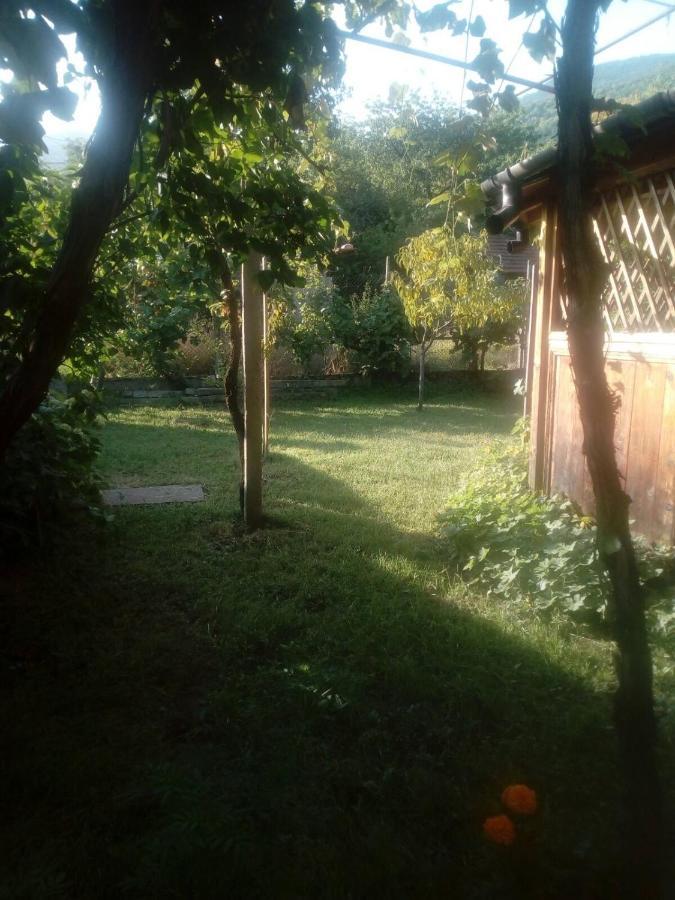 Къща За Гости Ягода Sapareva Banya Buitenkant foto