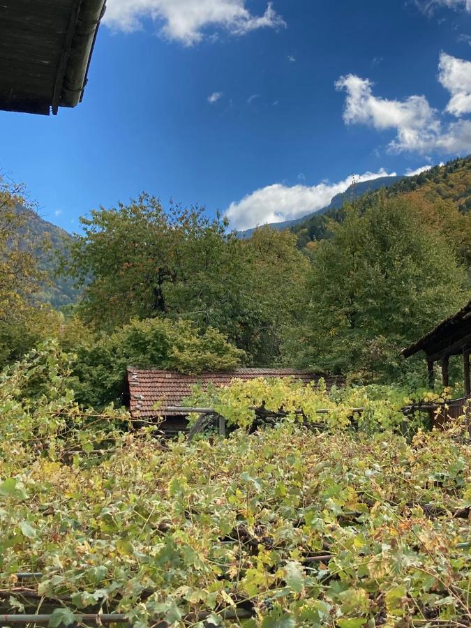 Къща За Гости Ягода Sapareva Banya Buitenkant foto